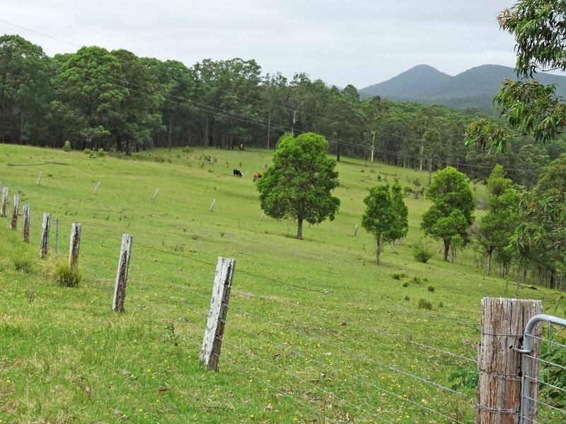 Lot 3 Booral Road, Girvan NSW 2425 Real Estate Industry Partners