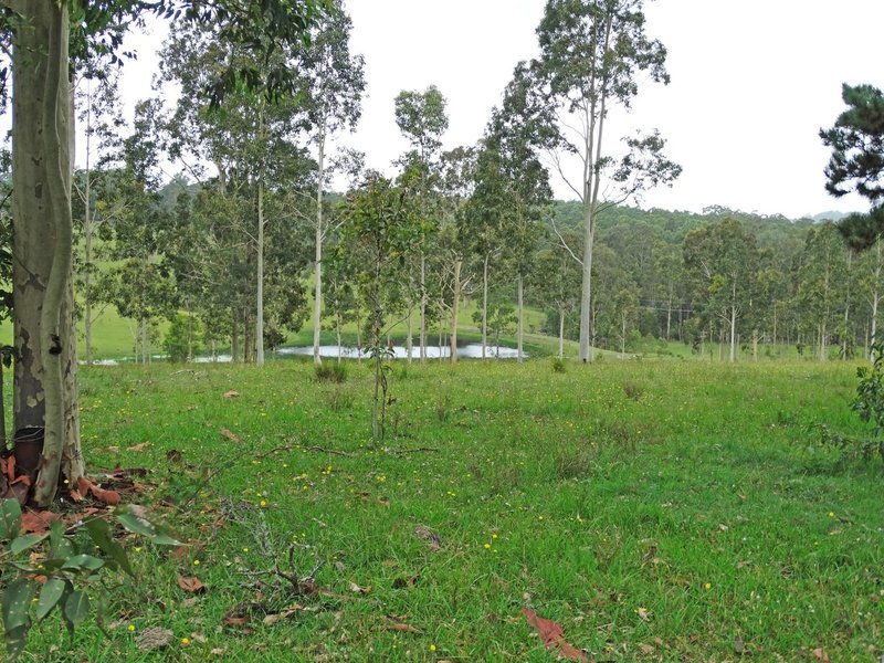 Lot 3 Booral Road, Girvan NSW 2425 Real Estate Industry Partners