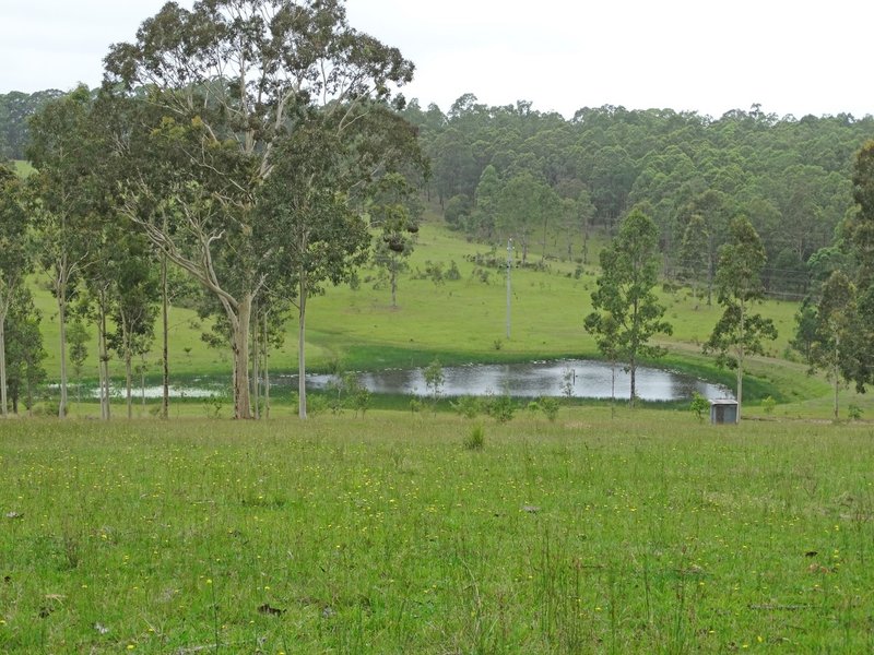 Lot 3 Booral Road, Girvan NSW 2425 Real Estate Industry Partners