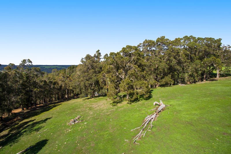 Photo - Lot 3 Boundary Rd , Nannup WA 6275 - Image 2