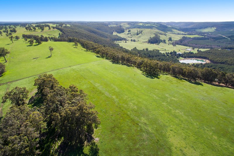 Photo - Lot 3 Boundary Rd , Nannup WA 6275 - Image 5