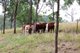 Photo - Lot 3 Brisbane Valley Highway, Harlin QLD 4306 - Image 24