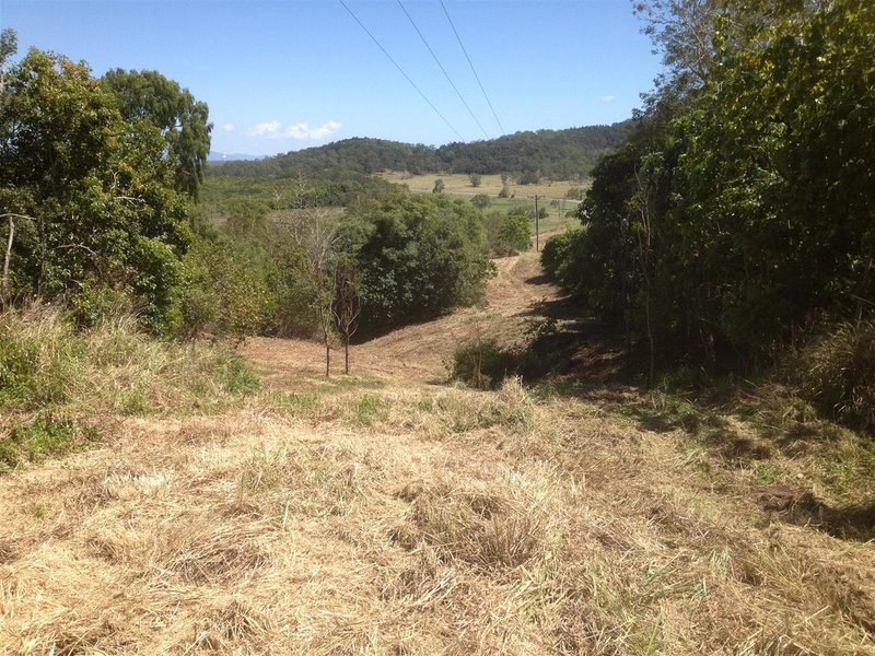 Photo - Lot 3 Conway Road, Conway QLD 4800 - Image 5