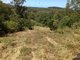 Photo - Lot 3 Conway Road, Conway QLD 4800 - Image 9