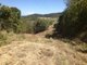 Photo - Lot 3 Conway Road, Conway QLD 4800 - Image 12