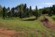 Photo - Lot 3 Domenica Road, Sugarloaf QLD 4800 - Image 1