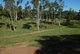 Photo - Lot 3 Domenica Road, Sugarloaf QLD 4800 - Image 7