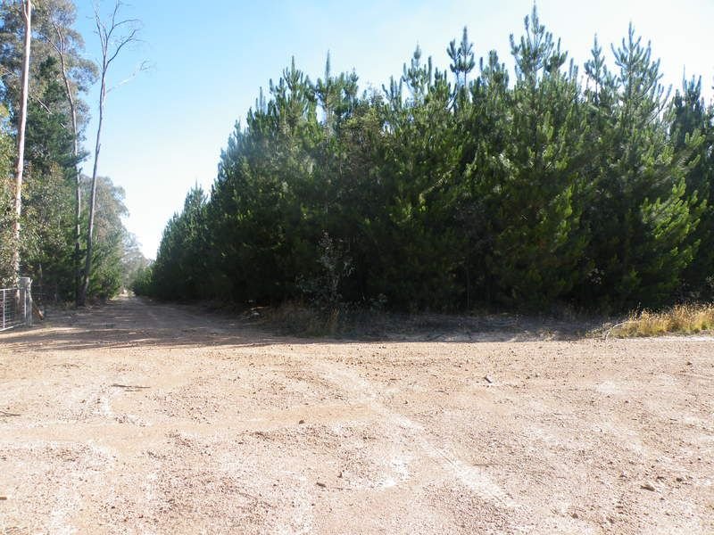 Photo - Lot 3 Dry Creek Road, Bonnie Doon VIC 3720 - Image 3