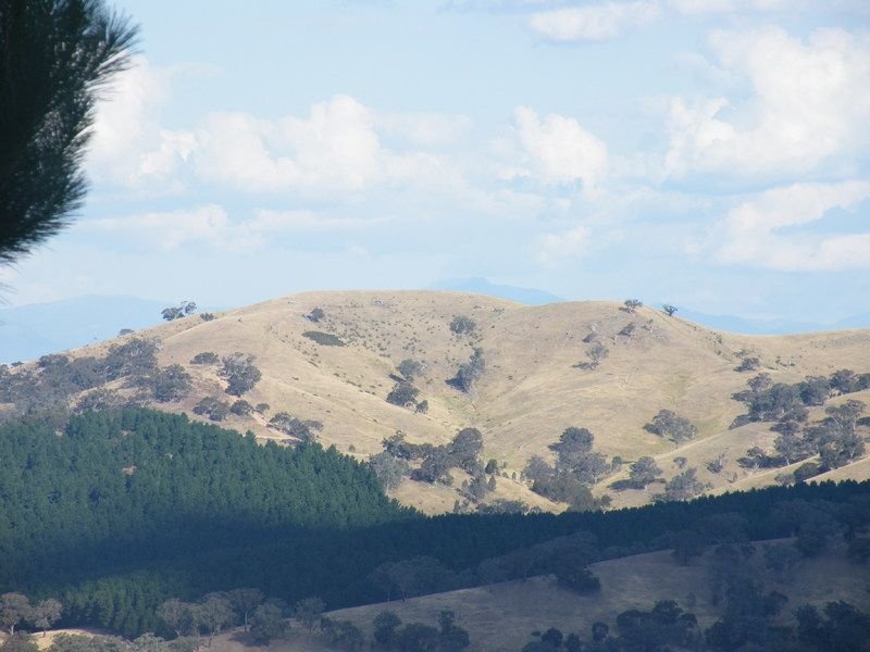 Photo - Lot 3 Dry Creek Road, Bonnie Doon VIC 3720 - Image 10