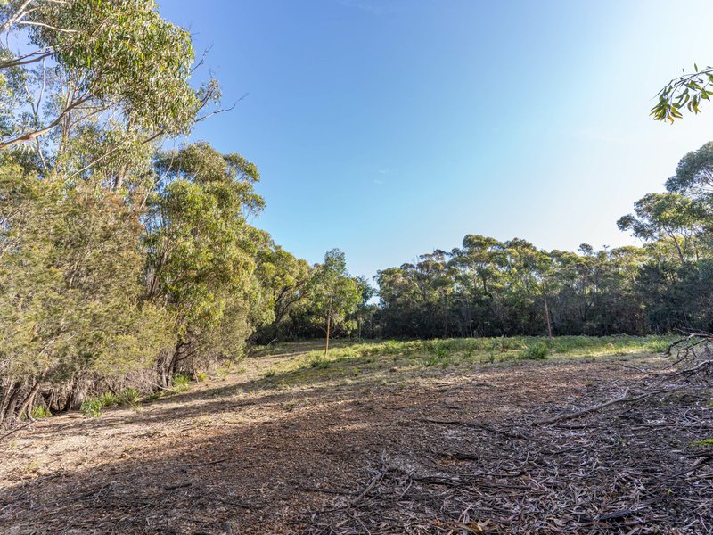 Photo - Lot 3 Eastern Creek Road, Beaumaris TAS 7215 - Image 24