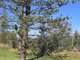 Photo - Lot 3 Eloura Drive, Sapphire Beach NSW 2450 - Image 6