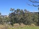 Photo - Lot 3 Eloura Drive, Sapphire Beach NSW 2450 - Image 7