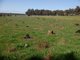 Photo - Lot 3 Gomm Lane, Yornup WA 6256 - Image 2