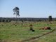 Photo - Lot 3 Gomm Lane, Yornup WA 6256 - Image 4