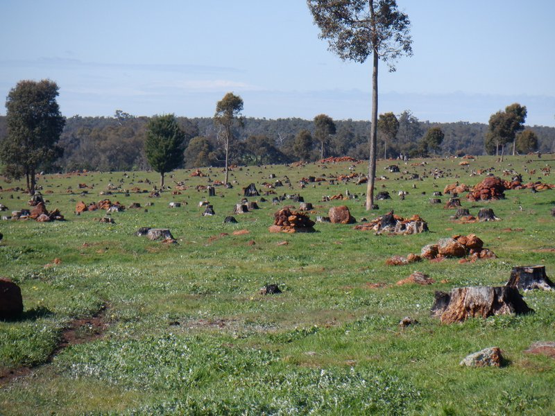 Photo - Lot 3 Gomm Lane, Yornup WA 6256 - Image 8