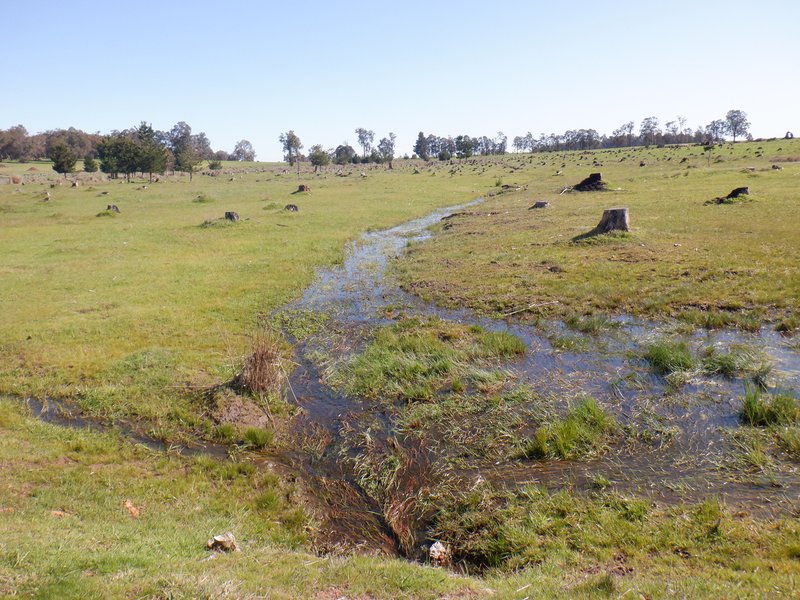 Photo - Lot 3 Gomm Lane, Yornup WA 6256 - Image 9