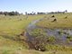 Photo - Lot 3 Gomm Lane, Yornup WA 6256 - Image 9