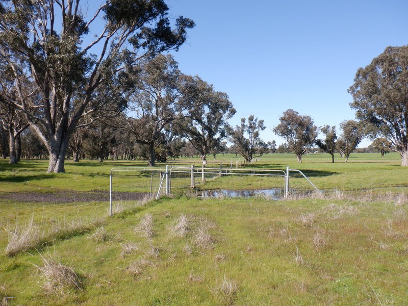 Photo - Lot 3 Gomm Lane, Yornup WA 6256 - Image 12