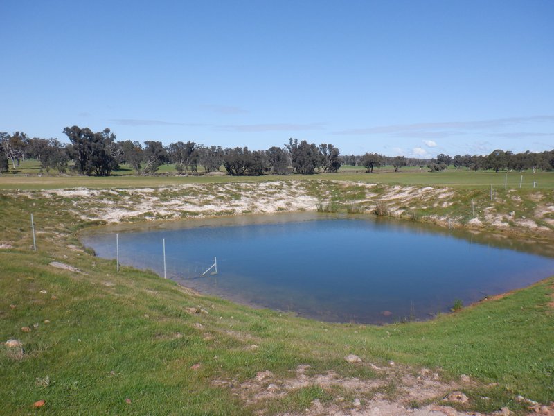 Photo - Lot 3 Gomm Lane, Yornup WA 6256 - Image 14