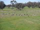 Photo - Lot 3 Gomm Lane, Yornup WA 6256 - Image 15