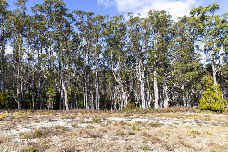 Photo - Lot 3 Harveys Hill Estate , Deep Bay TAS 7112 - Image 8