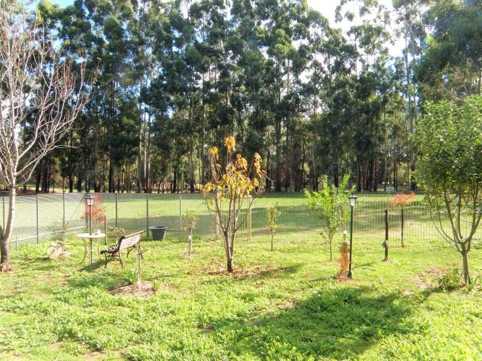 Photo - Lot 3 King Road, Nannup WA 6275 - Image 6