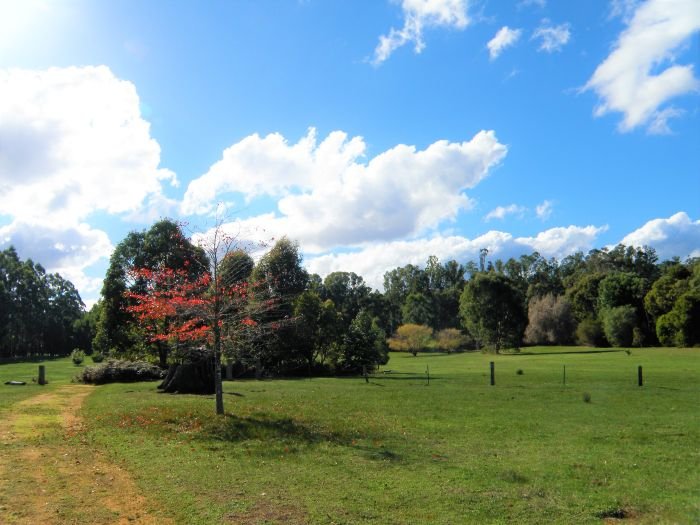 Photo - Lot 3 King Road, Nannup WA 6275 - Image 9