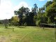 Photo - Lot 3 King Road, Nannup WA 6275 - Image 10