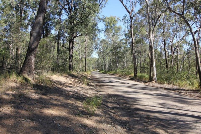 Photo - Lot 3 Neils Road, Rosedale QLD 4674 - Image 9