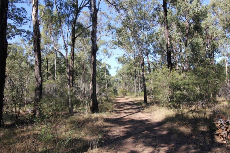 Photo - Lot 3 Neils Road, Rosedale QLD 4674 - Image 12