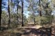 Photo - Lot 3 Neils Road, Rosedale QLD 4674 - Image 12