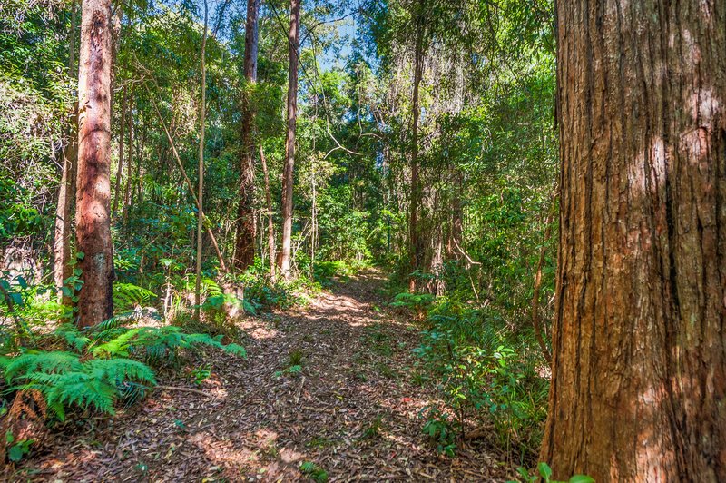 Photo - Lot 3 of 87-95 Robinsons Road, Eudlo QLD 4554 - Image 13