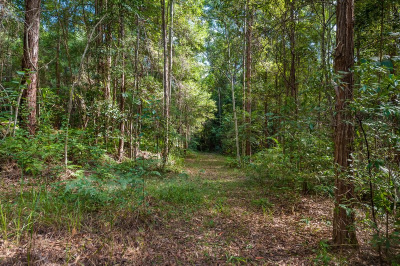 Photo - Lot 3 of 87-95 Robinsons Road, Eudlo QLD 4554 - Image 15