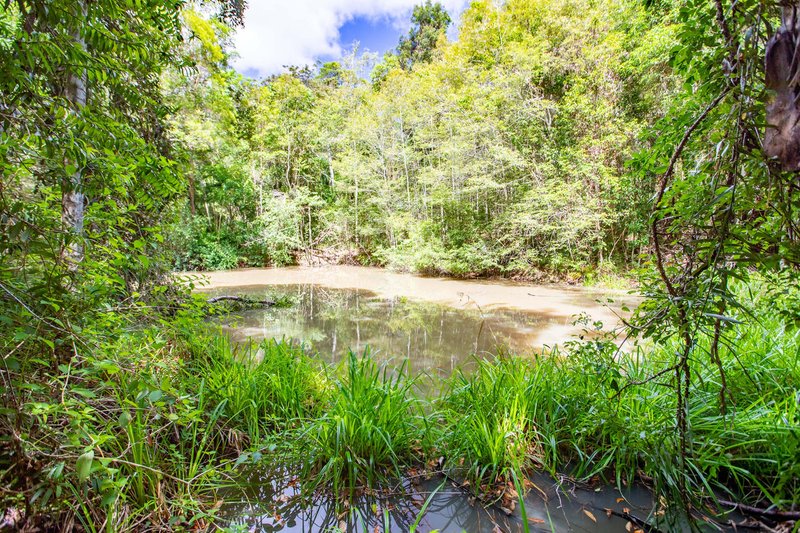 Photo - Lot 3 of 87-95 Robinsons Road, Eudlo QLD 4554 - Image 16