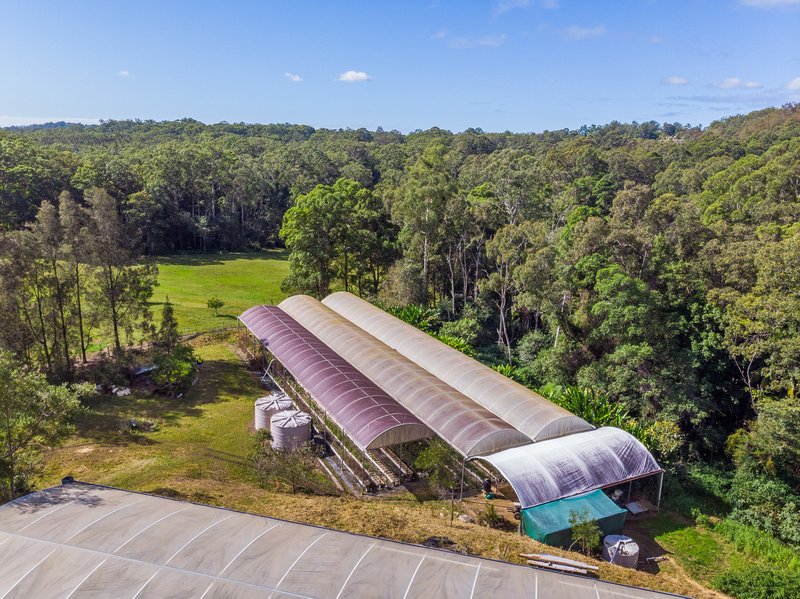 Photo - Lot 3 of 87-95 Robinsons Road, Eudlo QLD 4554 - Image 20