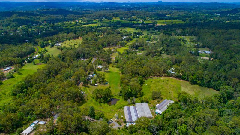 Photo - Lot 3 of 87-95 Robinsons Road, Eudlo QLD 4554 - Image 22