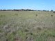 Photo - Lot 3 Old Princes Highway, Murray Bridge East SA 5253 - Image 2