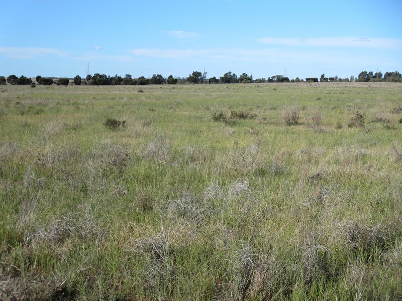 Photo - Lot 3 Old Princes Highway, Murray Bridge East SA 5253 - Image 3