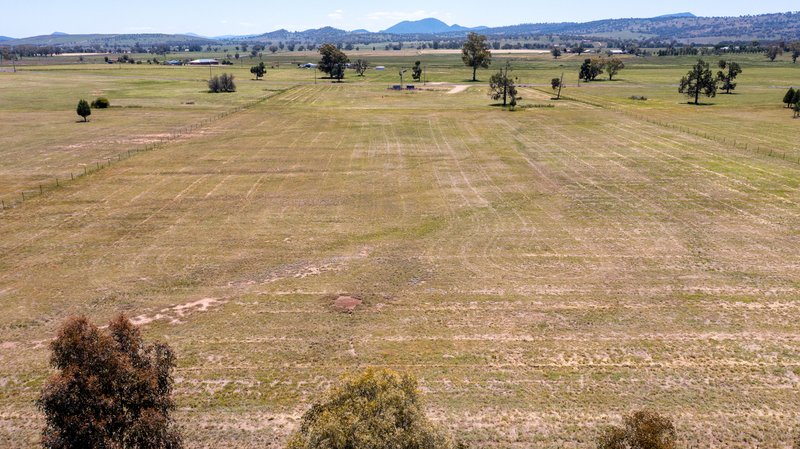 Photo - Lot 3 Quipolly Estate Werris Creek Road, Quirindi NSW 2343 - Image 5