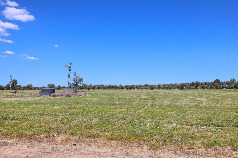 Photo - Lot 3 Quipolly Estate Werris Creek Road, Quirindi NSW 2343 - Image 6