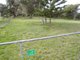 Photo - Lot 3 Sarena Parade, Robertsons Beach VIC 3971 - Image 2