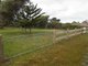 Photo - Lot 3 Sarena Parade, Robertsons Beach VIC 3971 - Image 4