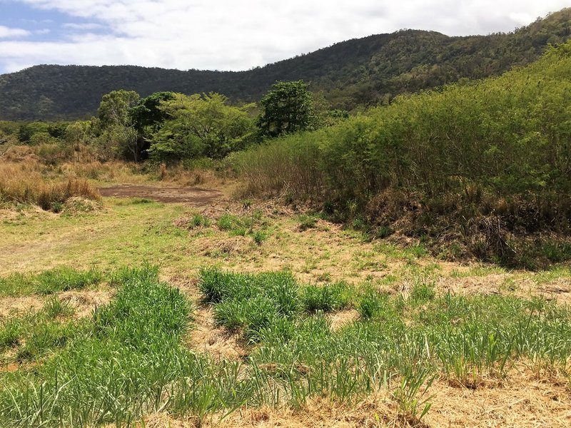 Photo - Lot 3 Shute Harbour Road, Flametree QLD 4802 - Image 3