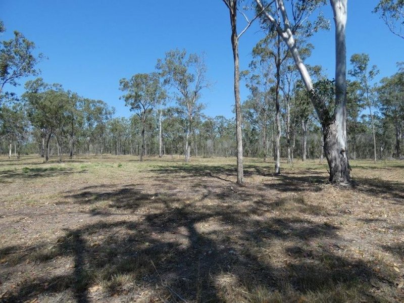 Photo - Lot 3 Taunton Road, Euleilah QLD 4674 - Image 9