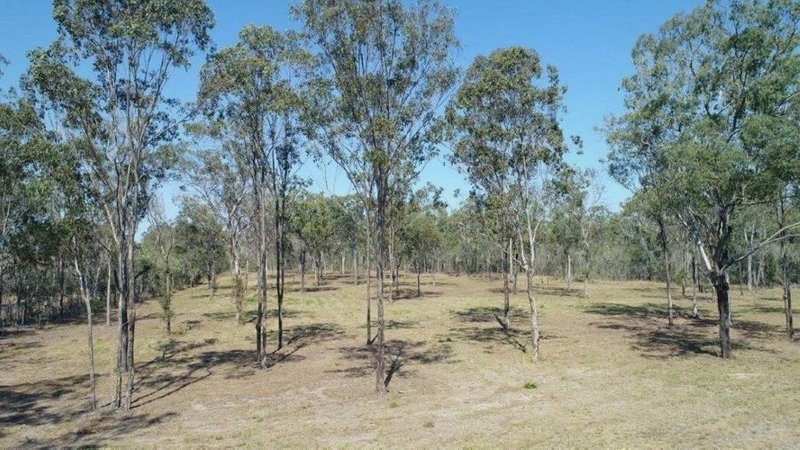 Photo - Lot 3 Taunton Road, Euleilah QLD 4674 - Image 15