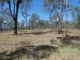 Photo - Lot 3 Taunton Road, Euleilah QLD 4674 - Image 18