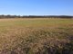 Photo - Lot 3 Thomas Lane, Singleton NSW 2330 - Image 5