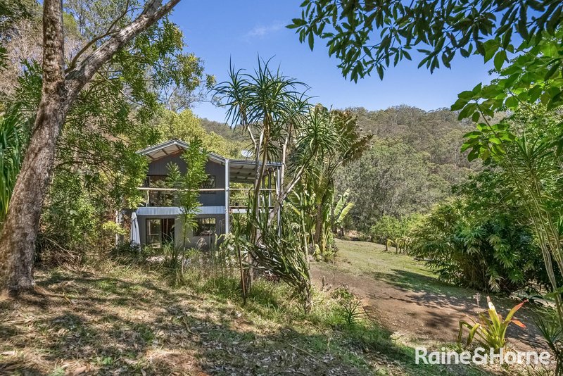 Photo - Lot 3 Wainwrights Road, Upper Horseshoe Creek Via , Kyogle NSW 2474 - Image 13