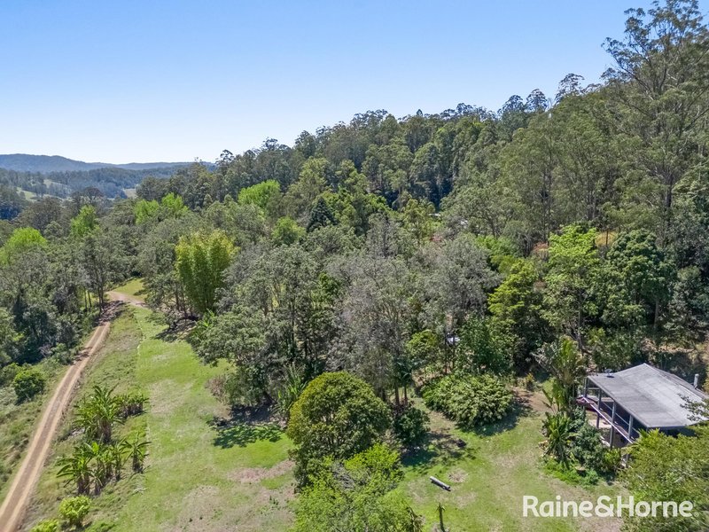 Photo - Lot 3 Wainwrights Road, Upper Horseshoe Creek Via , Kyogle NSW 2474 - Image 15