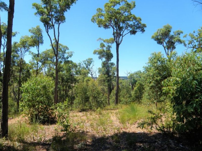 Lot 3 Widdeson Street, Nannup WA 6275